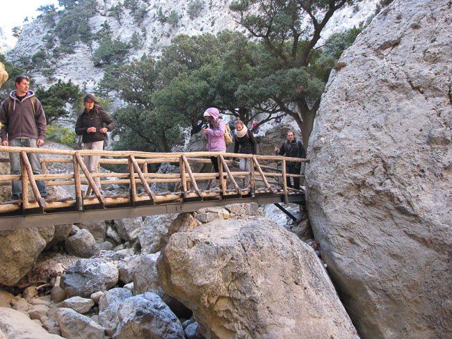 moni-vrontisiou-halasokefala-rouvas-zaros_oreivatikos_irakleiou005